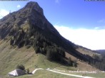 Archived image Webcam Plan-Francey - 1560 m a.s.l. 11:00