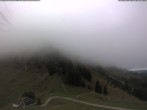 Archived image Webcam Plan-Francey - 1560 m a.s.l. 08:00
