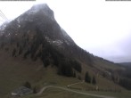 Archived image Webcam Plan-Francey - 1560 m a.s.l. 11:00