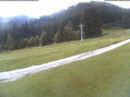 Archiv Foto Webcam Moléson-Wiese 11:00