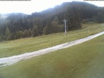 Archiv Foto Webcam Moléson-Wiese 19:00