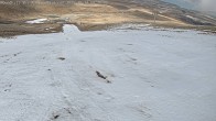 Archived image Webcam Roundhill - Lake Tekapo 08:00