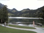 Archiv Foto Webcam Schwarzsee - See 13:00