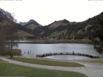Archiv Foto Webcam Schwarzsee - See 15:00