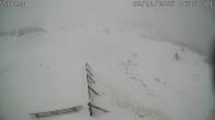 Archived image Webcam Mutta direction Alp Raguta 15:00
