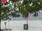 Archiv Foto Webcam Bise Noire Murten 11:00