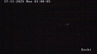 Archived image Webcam at Eschi-Boltigen 01:00