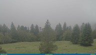 Archived image Webcam La Dôle (La Barillette) 11:00