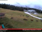Archiv Foto Webcam Ratschings - Bergstation 13:00
