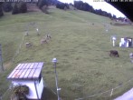 Archiv Foto Webcam Skilifte Raggal Blick auf die Piste 09:00