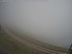 Archiv Foto Webcam Alpe del Nevegal - Col Faverghera 11:00