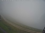 Archiv Foto Webcam Alpe del Nevegal - Col Faverghera 13:00