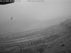 Archived image Webcam Alpe del Nevegal - Rifugio Visentin 07:00