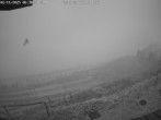 Archived image Webcam Alpe del Nevegal - Rifugio Visentin 05:00