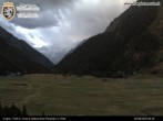 Archiv Foto Webcam Cogne Gran Paradiso Talblick 05:00