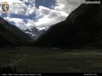 Archiv Foto Webcam Cogne Gran Paradiso Talblick 11:00
