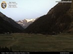 Archiv Foto Webcam Cogne Gran Paradiso Talblick 05:00