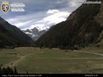 Archiv Foto Webcam Cogne Gran Paradiso Talblick 11:00