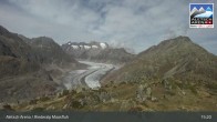 Archiv Foto Webcam Aletsch Arena: Riederalp Moosfluh 14:00