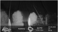 Archived image Webcam Ruhrquelle Winterberg 03:00