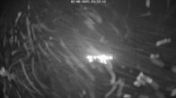 Archiv Foto Webcam Klingenthal: Skisprunganlage Vogtland Arena 03:00
