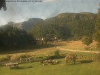 Archiv Foto Webcam Casa Vacanze La Rossa 08:00