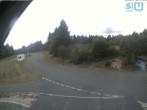Archiv Foto Webcam Skirollerbahn Fichtelberg 11:00