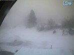 Archived image Webcam Ski scooter area 07:00