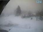 Archived image Webcam Ski scooter area 09:00