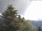 Archiv Foto Webcam Chalet Sybil 11:00