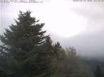 Archiv Foto Webcam Chalet Sybil 08:00