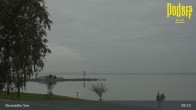Archiv Foto Webcam Podersdorf - Neusiedler See 08:00