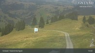Archiv Foto Webcam Saanerslochgrat 12:00