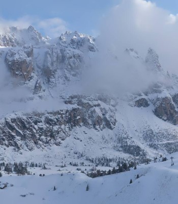 Dantercepies Val Gardena