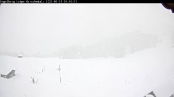 Engelberg: View Gerschnialp