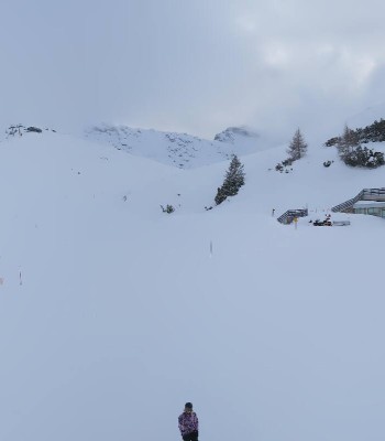 Alpe di Siusi: Goldknopf